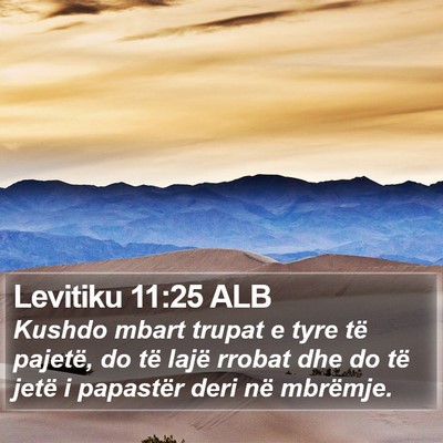 Levitiku 11:25 ALB Bible Verse Image