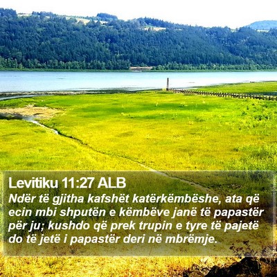 Levitiku 11:27 ALB Bible Verse Image