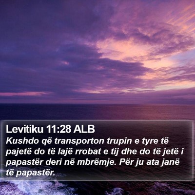 Levitiku 11:28 ALB Bible Verse Image