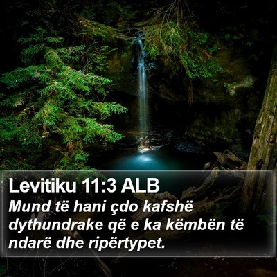 Levitiku 11:3 ALB Bible Verse Image