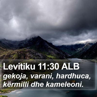 Levitiku 11:30 ALB Bible Verse Image