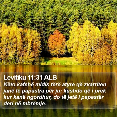Levitiku 11:31 ALB Bible Verse Image
