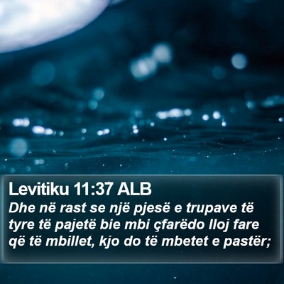 Levitiku 11:37 ALB Bible Verse Image