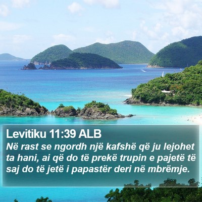 Levitiku 11:39 ALB Bible Verse Image