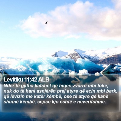 Levitiku 11:42 ALB Bible Verse Image