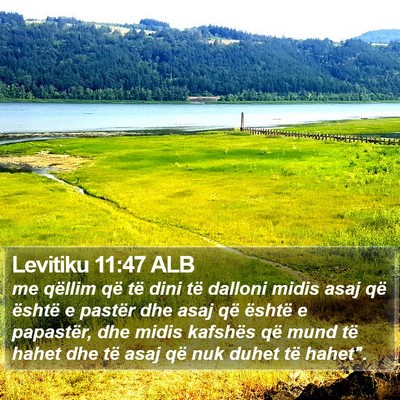Levitiku 11:47 ALB Bible Verse Image