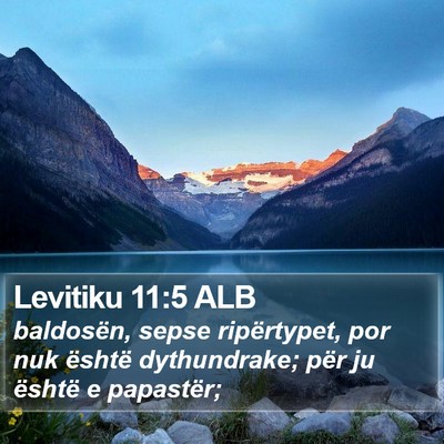Levitiku 11:5 ALB Bible Verse Image