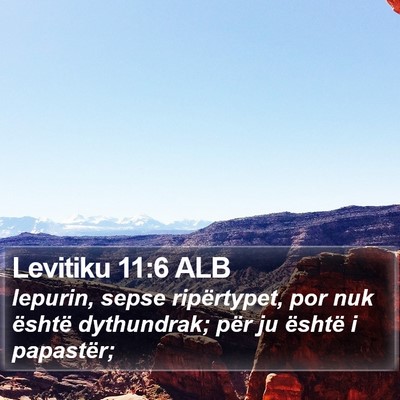 Levitiku 11:6 ALB Bible Verse Image