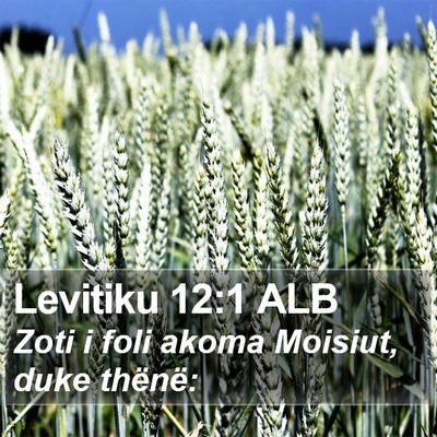 Levitiku 12:1 ALB Bible Verse Image