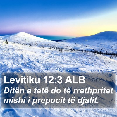 Levitiku 12:3 ALB Bible Verse Image