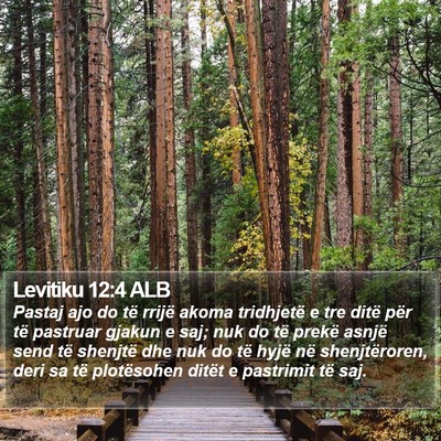 Levitiku 12:4 ALB Bible Verse Image