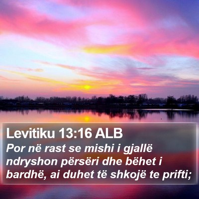 Levitiku 13:16 ALB Bible Verse Image