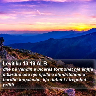 Levitiku 13:19 ALB Bible Verse Image
