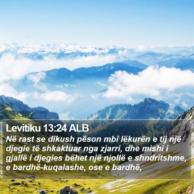 Levitiku 13:24 ALB Bible Verse Image