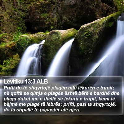 Levitiku 13:3 ALB Bible Verse Image