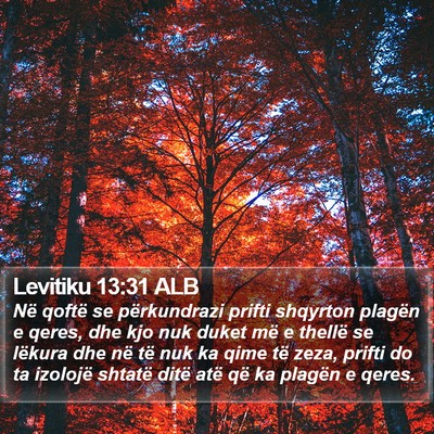 Levitiku 13:31 ALB Bible Verse Image