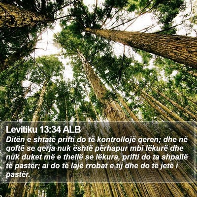 Levitiku 13:34 ALB Bible Verse Image