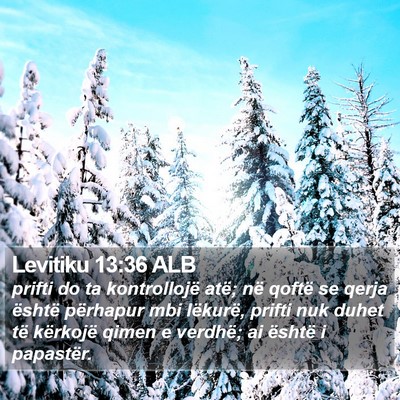 Levitiku 13:36 ALB Bible Verse Image