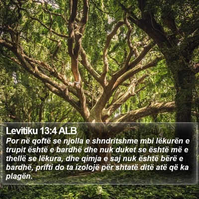 Levitiku 13:4 ALB Bible Verse Image