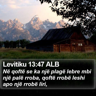 Levitiku 13:47 ALB Bible Verse Image