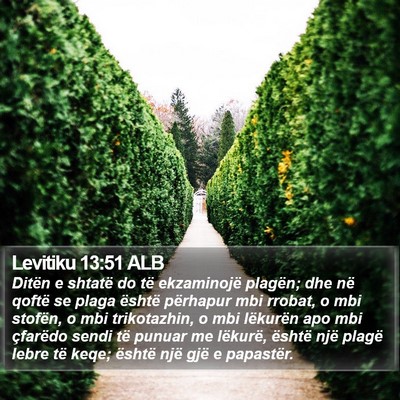 Levitiku 13:51 ALB Bible Verse Image