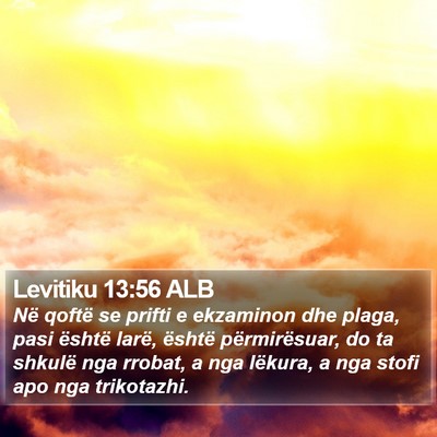 Levitiku 13:56 ALB Bible Verse Image