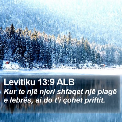 Levitiku 13:9 ALB Bible Verse Image