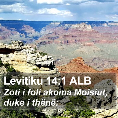 Levitiku 14:1 ALB Bible Verse Image