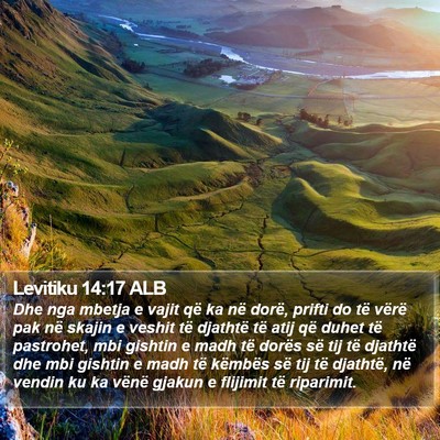 Levitiku 14:17 ALB Bible Verse Image