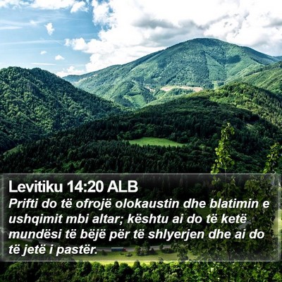 Levitiku 14:20 ALB Bible Verse Image