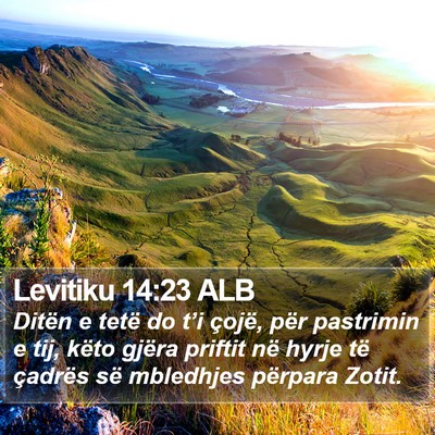 Levitiku 14:23 ALB Bible Verse Image