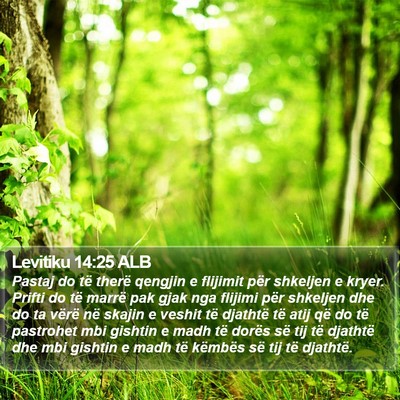 Levitiku 14:25 ALB Bible Verse Image