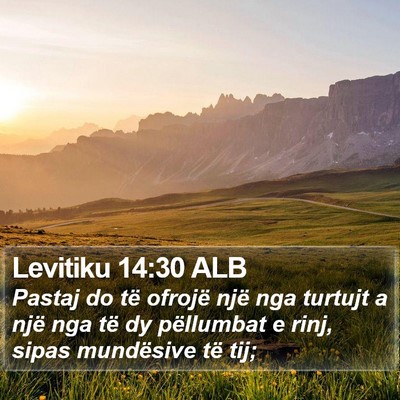 Levitiku 14:30 ALB Bible Verse Image