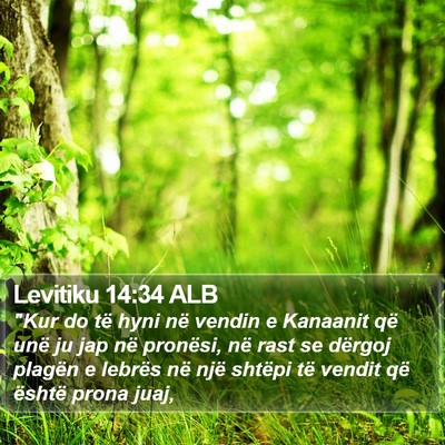 Levitiku 14:34 ALB Bible Verse Image