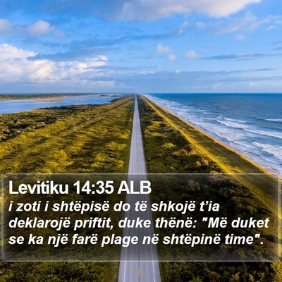 Levitiku 14:35 ALB Bible Verse Image