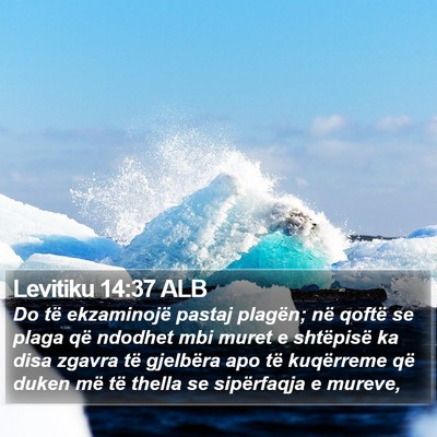 Levitiku 14:37 ALB Bible Verse Image