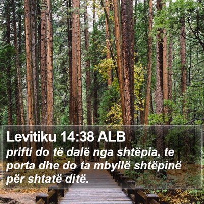Levitiku 14:38 ALB Bible Verse Image