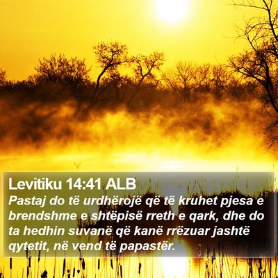 Levitiku 14:41 ALB Bible Verse Image