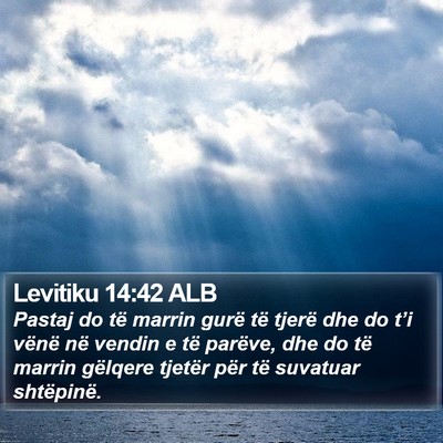 Levitiku 14:42 ALB Bible Verse Image