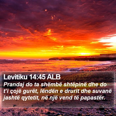 Levitiku 14:45 ALB Bible Verse Image