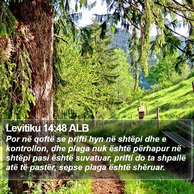 Levitiku 14:48 ALB Bible Verse Image