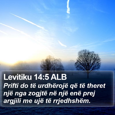 Levitiku 14:5 ALB Bible Verse Image