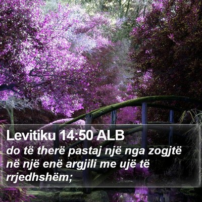 Levitiku 14:50 ALB Bible Verse Image