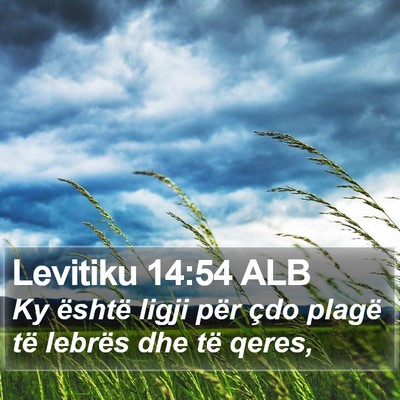 Levitiku 14:54 ALB Bible Verse Image