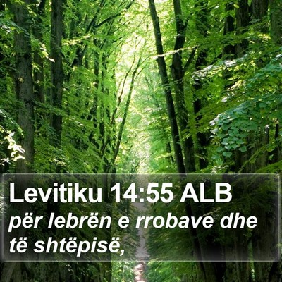 Levitiku 14:55 ALB Bible Verse Image