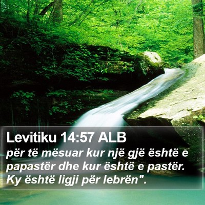 Levitiku 14:57 ALB Bible Verse Image