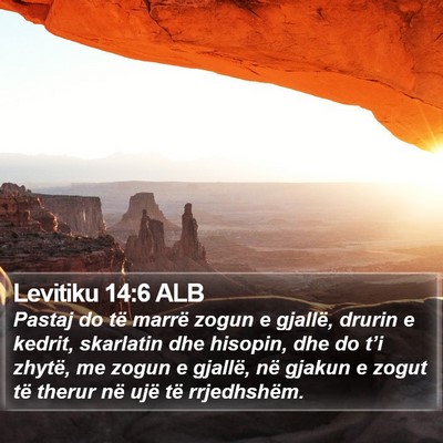 Levitiku 14:6 ALB Bible Verse Image