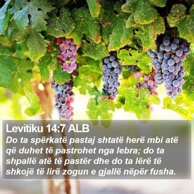 Levitiku 14:7 ALB Bible Verse Image