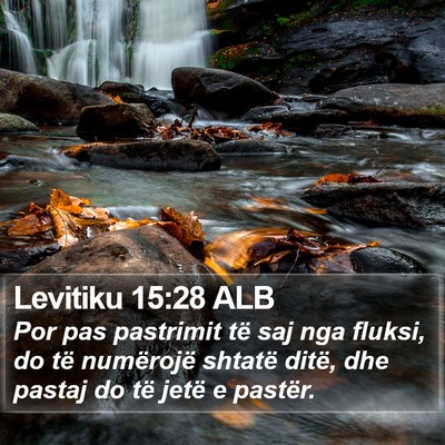 Levitiku 15:28 ALB Bible Verse Image