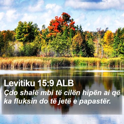Levitiku 15:9 ALB Bible Verse Image